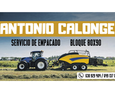 ANTONIO CALONGE